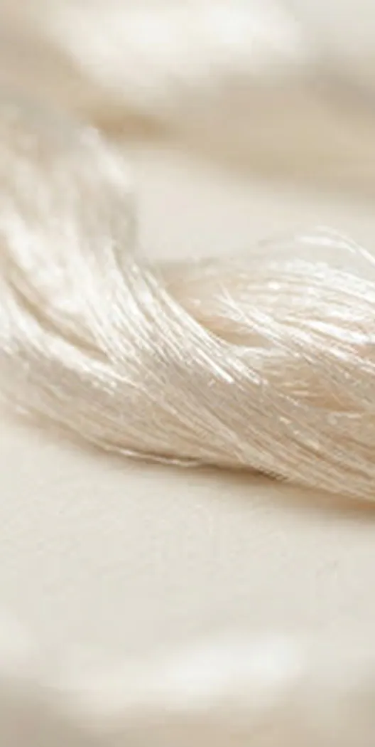 A skein of raw mulberry silk catching the light